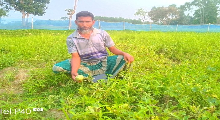 কুলাউড়ায় নিম্নমানের বীজ বিতরণের অভিযোগ